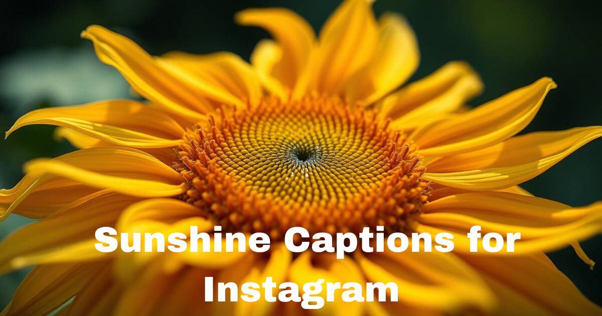 Sunshine Captions for Instagram