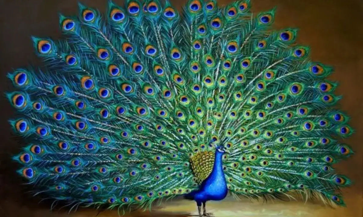 Peacock Captions
