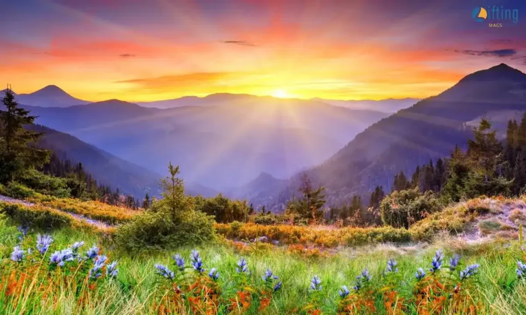 Scenic Sunset Captions for Instagram